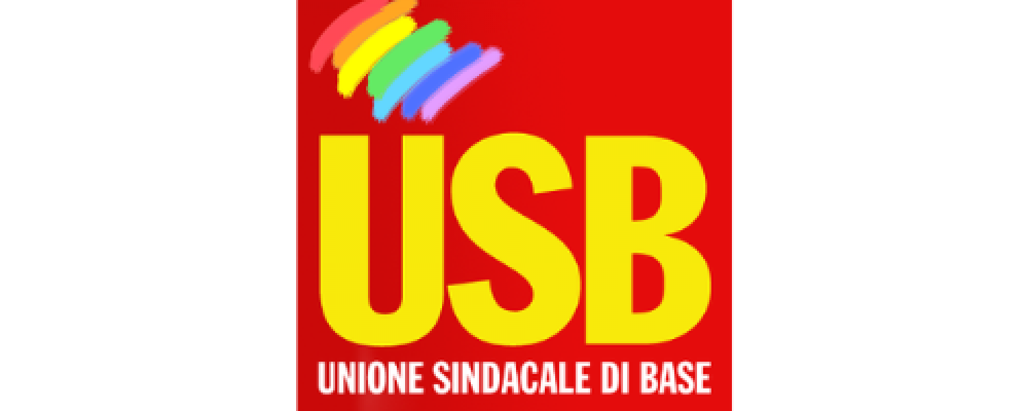Logo di USB sanità